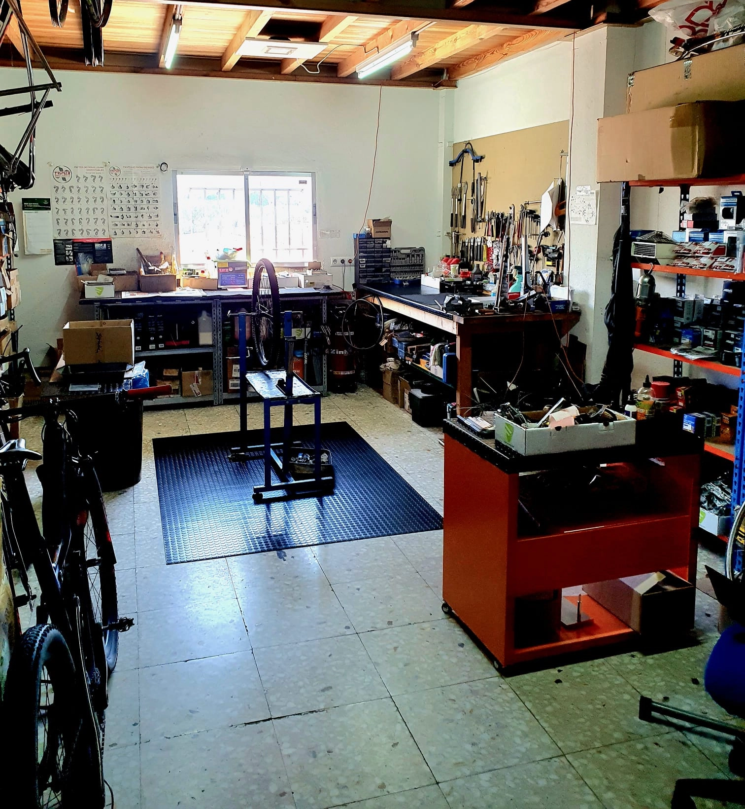 Fotos-tienda-nosolobicis (2)